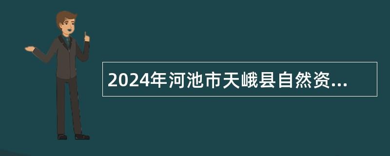 2024年河池市天峨县自然资源局招聘机关事业单位编外聘用人员公告