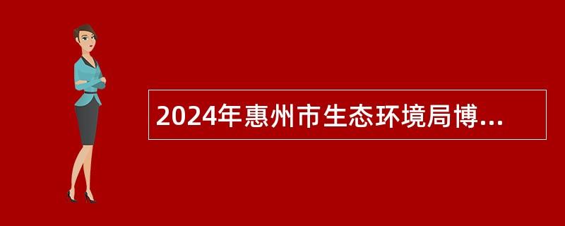 2024年惠州市生态环境局博罗分局和博罗县污染防治攻坚战总指挥部办公室招聘编外人员公告