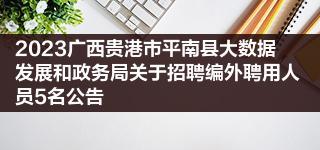 2023广西贵港市平南县大数据发展和政务局关于招聘编外聘用人员5名公告