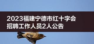 2023福建宁德市红十字会招聘工作人员2人公告