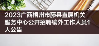 2023广西梧州市藤县直属机关服务中心公开招聘编外工作人员1人公告