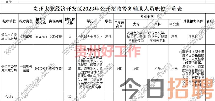 贵州大龙经济开发区2023年公开招聘警务辅助人员公告