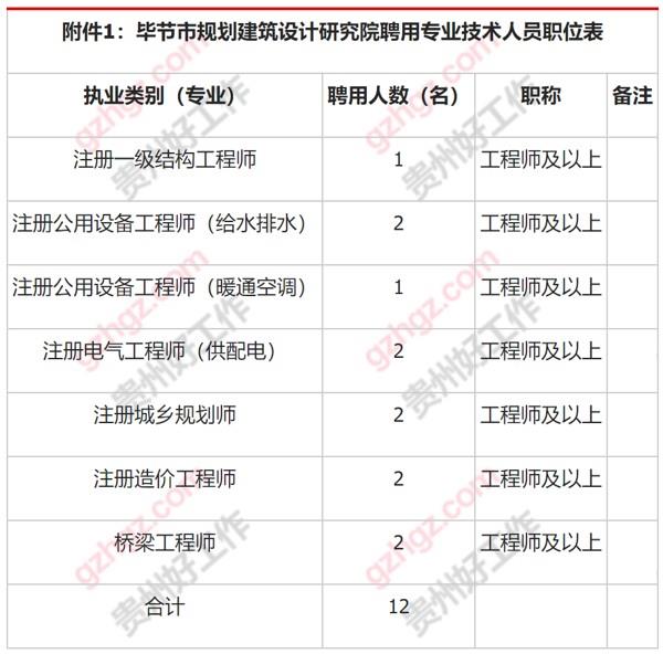 毕节市规划建设计研究院2024年聘用专业技术人员工作公告