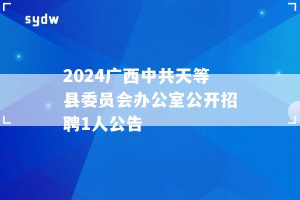 2024广西中共天等县委员会办公室公开招聘1人公告