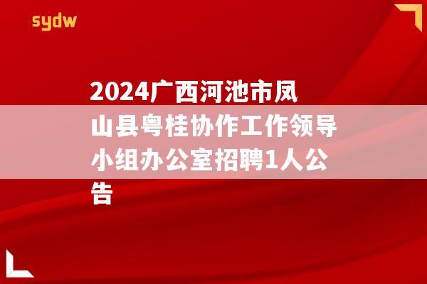 2024广西河池市凤山县粤桂协作工作领导小组办公室招聘1人公告