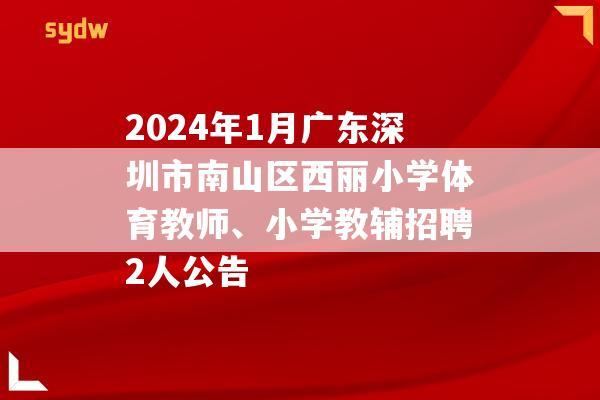 2024年1月广东深圳市南山区西丽小学体育教师、小学教辅招聘2人公告