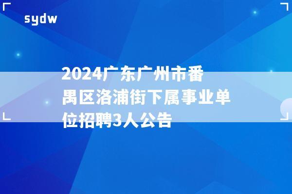 2024广东广州市番禺区洛浦街下属事业单位招聘3人公告