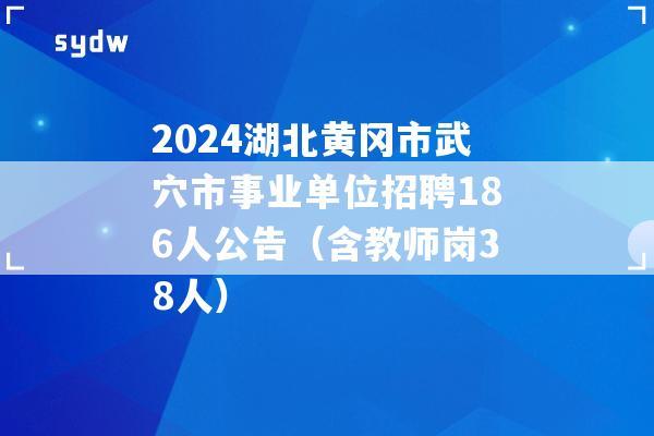 2024湖北黄冈市武穴市事业单位招聘186人公告（含教师岗38人）