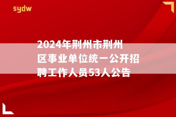 2024年荆州市荆州区事业单位统一公开招聘工作人员53人公告