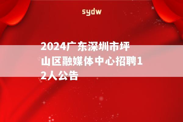 2024广东深圳市坪山区融媒体中心招聘12人公告