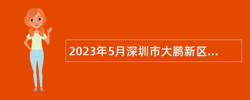 2023年5月深圳市大鹏新区南澳办事处招聘编外人员公告