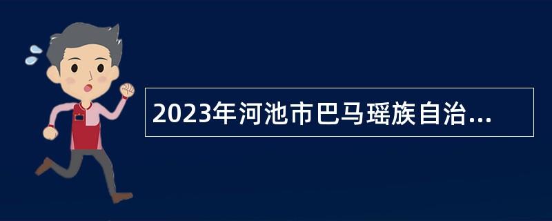 2023年河池市巴马瑶族自治县委员会宣传部招聘工作人员公告