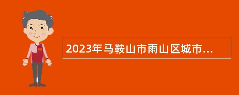 2023年马鞍山市雨山区城市管理行政执法局面向退役士兵定向招聘工作人员公告