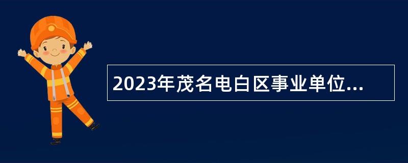 2023年茂名电白区事业单位面向驻电部队未就业随军家属招聘工作人员公告