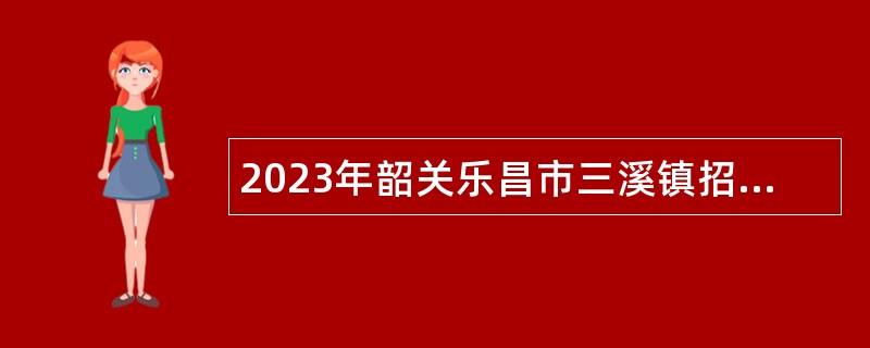 2023年韶关乐昌市三溪镇招聘神前岭村基层公共服务综合平台操作员公告