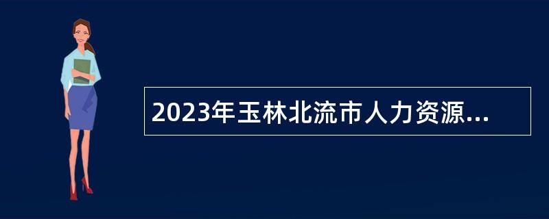 2023年玉林北流市人力资源和社会保障局二次招聘北流市基层就业社保服务专员公告