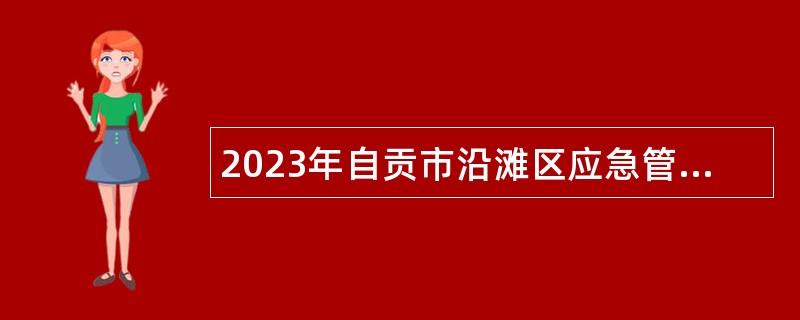 2023年自贡市沿滩区应急管理局招聘聘用制工作人员公告