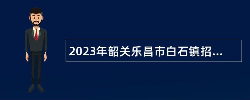 2023年韶关乐昌市白石镇招聘水井村基层公共服务站系统操作员公告