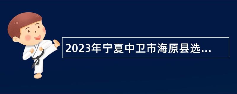 2023年寧夏中衛(wèi)市海原縣選任鄉(xiāng)村振興助理員公告