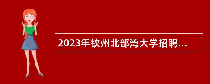 2023年钦州北部湾大学招聘财务处人员公告