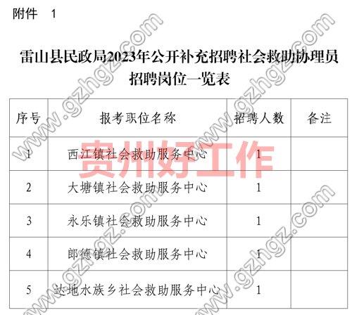 雷山县民政局2023年公开补充招聘社会救助协理员招聘方案