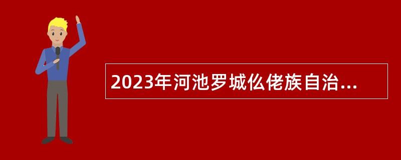 2023年河池罗城仫佬族自治县四把镇人民政府招聘公告