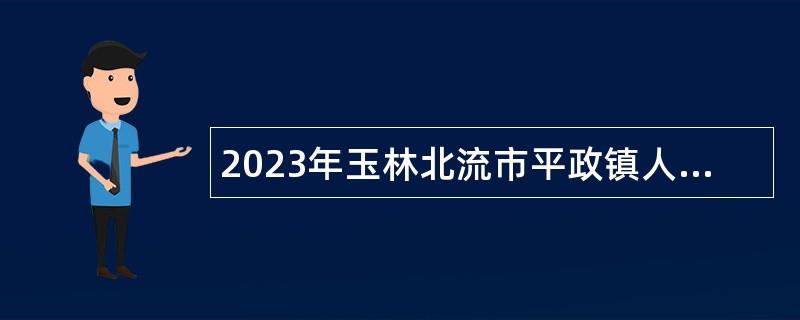 2023年玉林北流市平政镇人民政府招聘网格信息管理员公告