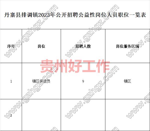 丹寨县排调镇2023年公开招聘公益性岗位人员实施方案