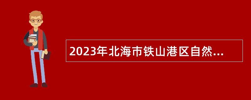 2023年北海市铁山港区自然资源信息中心招聘公告