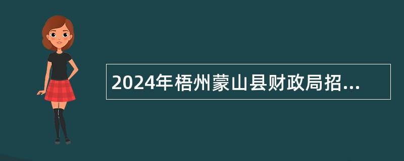 2024年梧州蒙山县财政局招聘编外用工公告