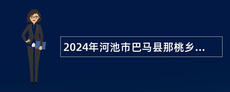 2024年河池市巴马县那桃乡人民政府招聘交通协管员公告