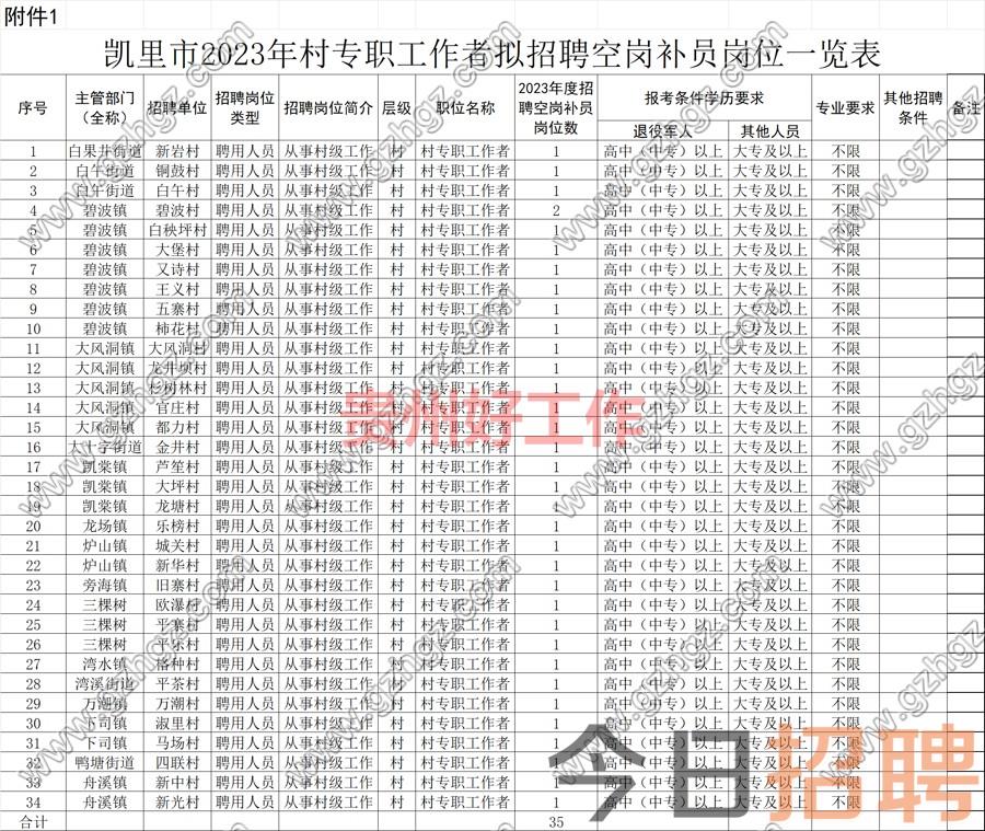 凯里市2023年公开招聘村专职工作者空岗补员实施方案