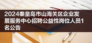 2024秦皇岛市山海关区企业发展服务中心招聘公益性岗位人员1名公告