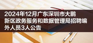 2024年12月广东深圳市大鹏新区政务服务和数据管理局招聘编外人员3人公告