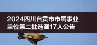 2024四川自贡市市属事业单位第二批选调17人公告