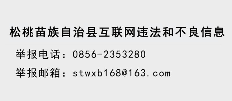 松桃苗族自治县2025年事业单位公开招聘 工作人员简章