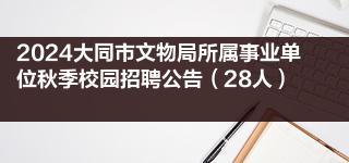 2024大同市文物局所属事业单位秋季校园招聘公告（28人）