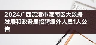 2024广西贵港市港南区大数据发展和政务局招聘编外人员1人公告