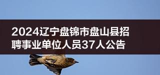 2024辽宁盘锦市盘山县招聘事业单位人员37人公告