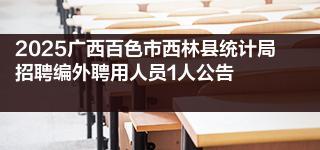 2025广西百色市西林县统计局招聘编外聘用人员1人公告