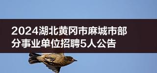 2024湖北黄冈市麻城市部分事业单位招聘5人公告