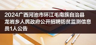 2024广西河池市环江毛南族自治县龙岩乡人民政府公开招聘防贫监测信息员1人公告