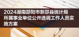 2024湖南邵阳市新邵县统计局所属事业单位公开选调工作人员实施方案