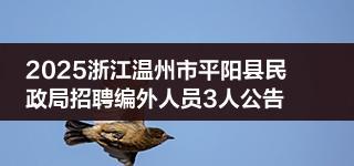 2025浙江温州市平阳县民政局招聘编外人员3人公告