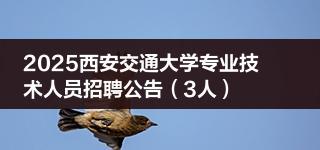 2025西安交通大学专业技术人员招聘公告（3人）