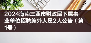 2024海南三亚市财政局下属事业单位招聘编外人员2人公告（第1号）