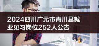 2024四川广元市青川县就业见习岗位252人公告