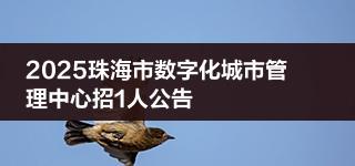 2025珠海市数字化城市管理中心招1人公告