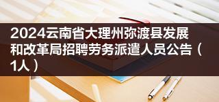 2024云南省大理州弥渡县发展和改革局招聘劳务派遣人员公告（1人）