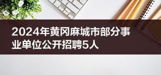 2024年黄冈麻城市部分事业单位公开招聘5人